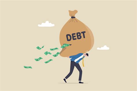 dser loan|Debt.